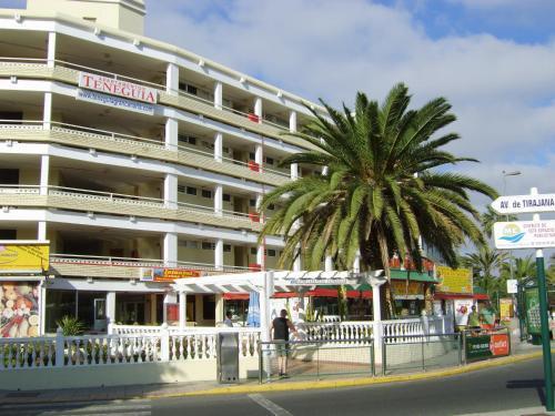 Teneguia Playa del Inglés